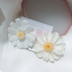 ジニアピアス❤︎