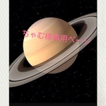 ちゃむ様専用ページ