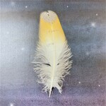 大きい羽根13点セット★メンフクロウ