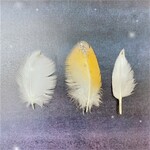 小さい羽根19点セット★メンフクロウ