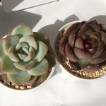 ♡新生活応援♡福袋　２点セット