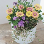happy flower🌼🌼春のボリューム寄せ植えꕤ*.ﾟお花の贈り物