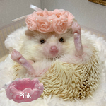 3Dローズの花かんむり［Pink］