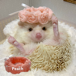 3Dローズの花かんむり［Peach］