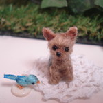 犬、ヨークシャーテリア（2,8㎝）　イヤホンジヤック、ストラップ、ドールハウスに