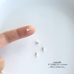new▷minimini ピアス/ノンホールイヤリング＊受注製作＊