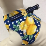 犬猫ハーネス　爽やかレモン🍋水玉　お花パーツ付き　夏ハーネス