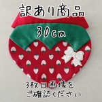 ■訳あり■いちごスタイ◇赤◇