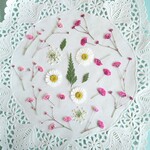 押し花素材　No54　ピンク色の小花のセット