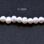 N1888  2連  淡水パールビーズ 不規則オーバル 天然素材 5-6mm   2×1連(約80ヶ)