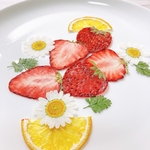 mizuhaneko様ご注文ページ　押しフルーツ