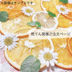 慌てん房様ご注文ページ　押しフルーツ