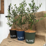 リメ缶(中)OLIVE♫カーキ♫ネイビー♫ブラック