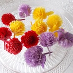 千日紅　3カラーセット　1点のみ　プリザーブドフラワー