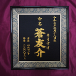 命名ししゅう【紺額縁】