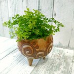 三本脚の渦巻き花器(剣山付き)  ミニ鉢カバー  植木鉢  お香立て  陶器