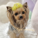 【 犬用　🌸🌈🌼　バレッタ 】 おしゃれ　トップノットペット　子供　ヘアアクセサリー　リボン　バレッタ　♡AquaMana♡