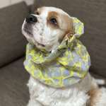 再入荷❤︎2021春夏コレクション★リップル花柄　イエロー　中型犬用スヌード　犬用スヌード