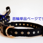 1.5cm幅 18～26cm 金ドット(黒) 首輪 犬用