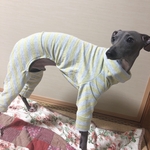 イタリアングレーハウンドロンパースLサイズ