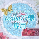 専用出品
