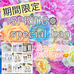 【期間限定】SPRING❁special bag/春の福袋♪