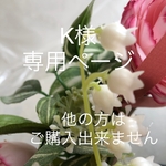 K様専用ページ　フライングリース　他の方はご購入できません。