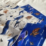 入園入学ランチョンマット45×35★水族館図鑑２カラーセット★給食ナフキンお弁当