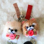 ペットをリ―ル式キーホルダーに！