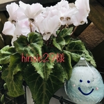 hinaic29様 専用サイト　ラウンドトート　大きめ　La France🍐