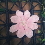 薄ピンクの花のコサージュ