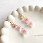 アシンメトリー桜のピアス①