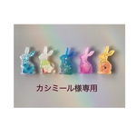 【カシミール様専用】冷蔵庫にうさぎ　《うさぎマグネット　いっぱい》