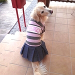 🛒PEKOちゃん🌟特別オーダー