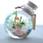 水の中の世界♡　金魚②　癒し　ドライフラワー　アクアリウム　ハーバリウム