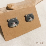 ニャンコのピアス⭐︎エキゾチックショートヘア