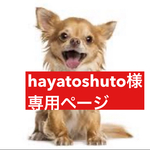 専用ページ
