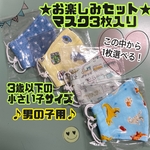 お楽しみセット《マスク3枚いり》3歳以下の小さい子サイズ　★男の子用★