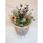 アンティーク色ペチュニアの寄せ植え