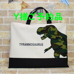 Y様ご予約品　ティラノサウルス　レッスンバッグ