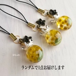 【ストラップ】ミモ玉ちゃん  #16 #17 #18