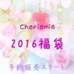 2016福袋 先行予約販売