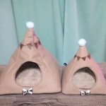 送込！ミニハウス