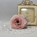 Corsage of Aerial[Reduction] 2