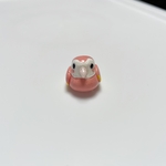 樹脂粘土 アキクサインコ置物 ミニチュア雑貨