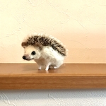ハリネズミ2