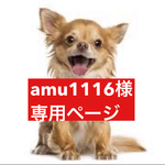 専用ページ