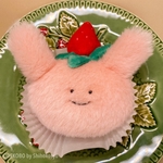 【🍓春限定🍓】むしパンくんぬいぐるみ【いちごうさミルクくん】