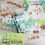 お花のHappyBag✢5点ピアス詰め合わせ
