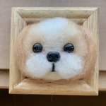 ★ぴかママフレームわんこ★まんまるキラキラお目目のゴールド系シーズーちゃん